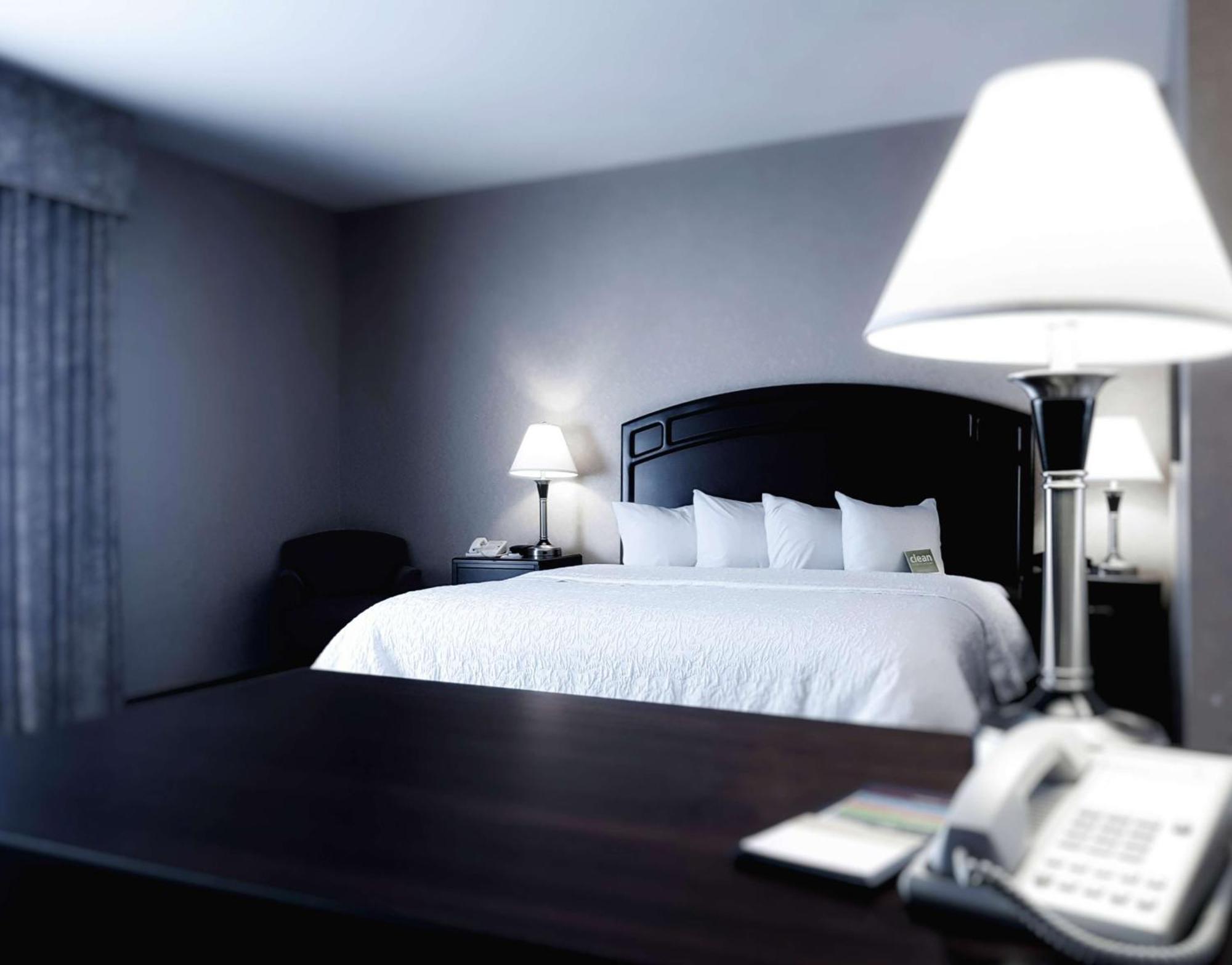 King Suite with Sofa Bed - Non-Smoking,1424218956:JPEG